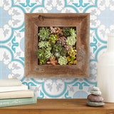 Casa - Moroccan Mosaic & Tile House