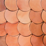 Fish Scale