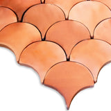 Fish Scale