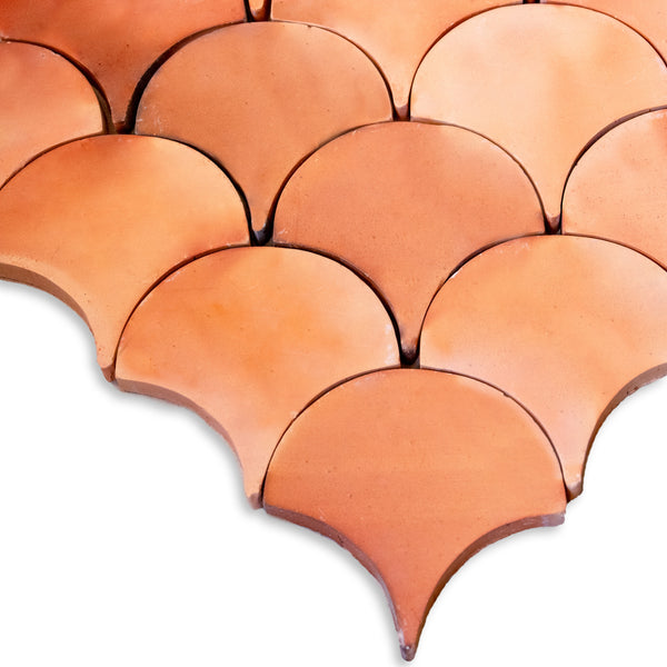 Fish Scale